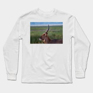 Watchful Eye Long Sleeve T-Shirt